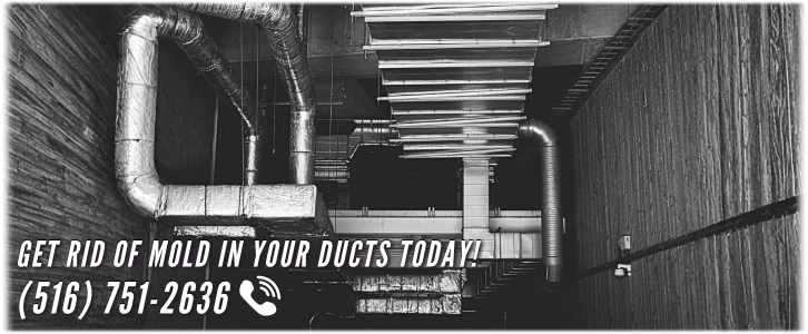 Air Duct Mold Removal in Long Island